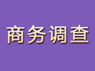 信州商务调查